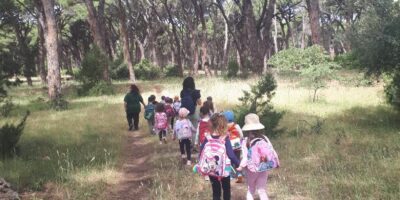 Εργαστήριο Δεξιοτήτων “Φροντίζω το περιβάλλον” με θέμα:” Προστατέψτε το δάσος είναι πηγή ζωής”,Διεθνές θεματικό δίκτυο:”Τα παιδιά πρεσβευτές του τόπου τους”,”Το δάσος της Στροφυλιάς”